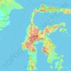 Sulawesi topographic map, elevation, terrain
